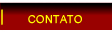 Contato
